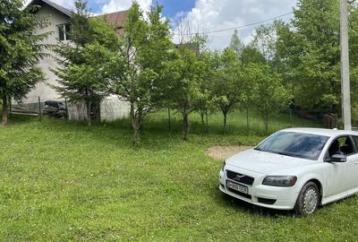 Spațiu comercial, în Valea Doftanei - 3