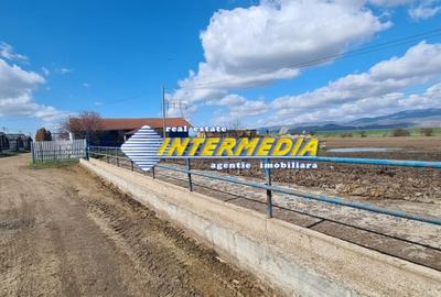 Casă individuală cu 20 camere cu Teren 35000 Mp în Pianu - 10