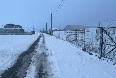 Teren de 3796 mp, în Ciorogârla - 2
