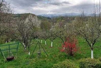 Casă cu 4 camere în Bughea de Jos