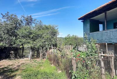 Casă cu 2 camere cu Teren 30 Mp în Târgu Logrești