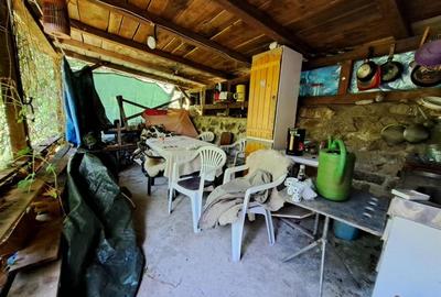 Casă individuală cu 7 camere cu Teren 1660 Mp în Pietroasa - 4
