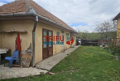 Casă cu 4 camere în Benic - 1