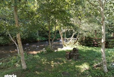 Teren de 1155 mp, în Lunca - 5