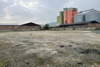 Spațiu comercial, în Mintia
