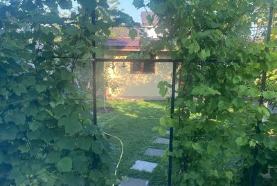 Casă cu Teren 656 Mp în Ciorogârla - 6