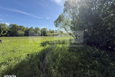 Teren de 2300 mp, în Horodnic - 10