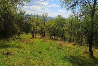 Teren de 1600 mp, în Căzănești