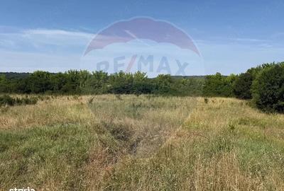 Teren de 2500 mp, în Popoveni - 1