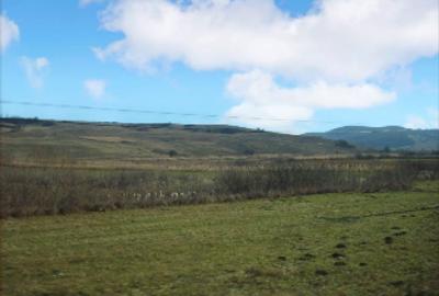 Teren agricol extravilan de 28000 mp, în Șoarș
