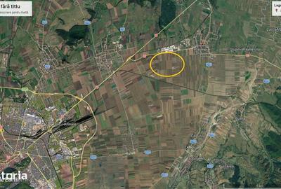 Teren de 325000 mp, în Prejmer - 2
