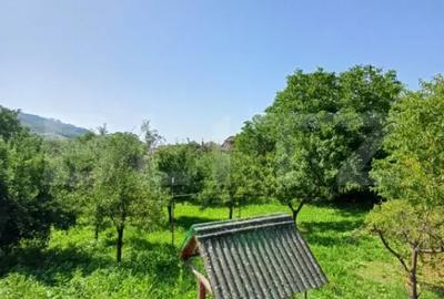 Casă cu 4 camere cu Teren 1860 Mp în Viișoara - 2