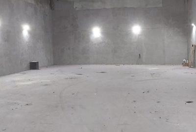 Spațiu industrial, de 267.89999389648 mp, în Est - 2