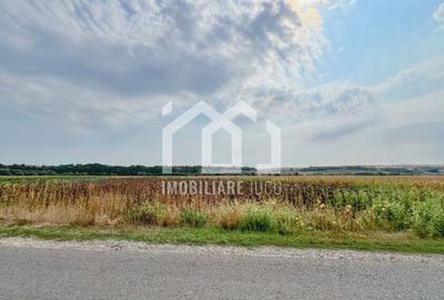 Teren Construcții intravilan de 1000 mp, în Jucu de Mijloc