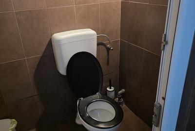 Spațiu comercial, de 41 mp, în Sântandrei