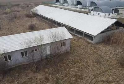 Teren de 16275 mp, în Crizbav - 5