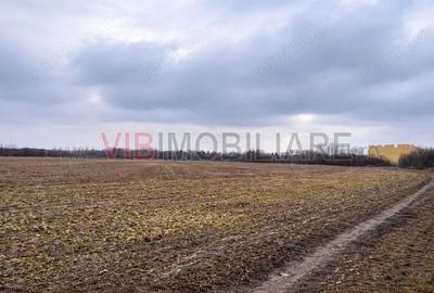 Teren de 21500 mp, în Gruiu - 1