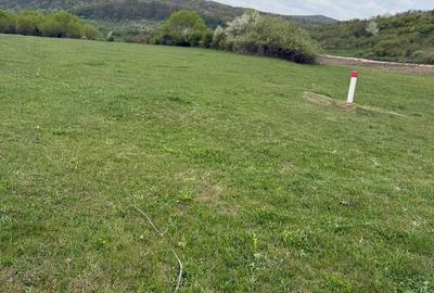 Teren de 5000 mp, în Fughiu - 6