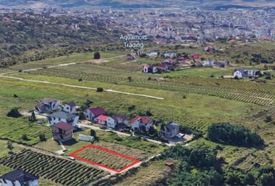Spațiu comercial, în Viticultori - 1