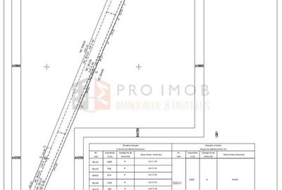 Teren Construcții intravilan de 7560 mp, în Mărăcineni - 2