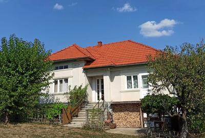 Casă cu 3 camere cu Teren 3500 Mp în Boiu Mare
