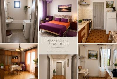 Apartament cu 2 camere în Tudor Vladimirescu - 2