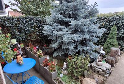 Casă cu 4 camere cu Teren 325 Mp în Moșnița Veche