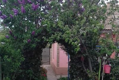 Casă cu 4 camere cu Teren 3800 Mp în Sălcioara