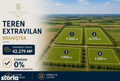 Teren de 42279 mp, în Braniștea - 1