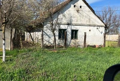 Casă individuală cu 2 camere cu Teren 2000 Mp în Ghilad - 2