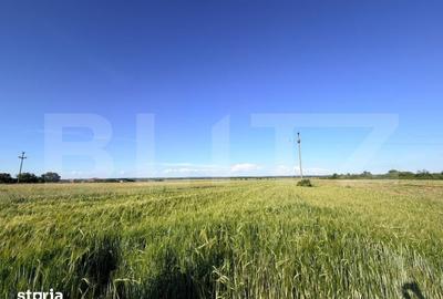 Teren de 9550 mp, în Brazda lui Novac