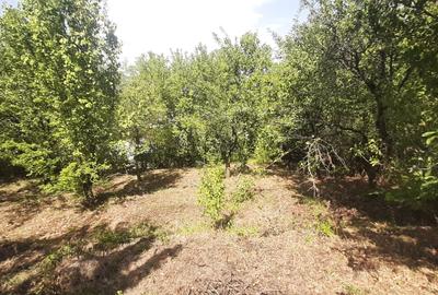 Casă individuală cu 4 camere cu Canalizare în Central - 6