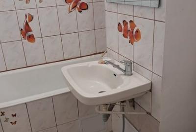Apartament cu 2 camere decomandat în Rogerius - 11
