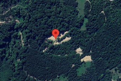 Teren de 12000 mp, în Vale