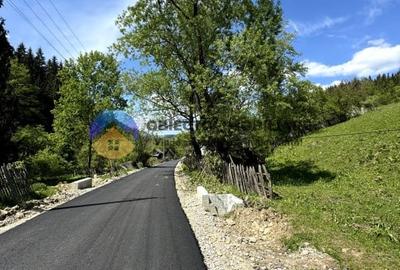 Teren intravilan de 11557 mp, în Ceahlău