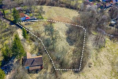 Teren Construcții intravilan de 2201 mp, în Vâlcele - 6