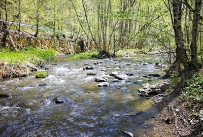 Teren intravilan de 9191 mp, în Agârbiciu - 8