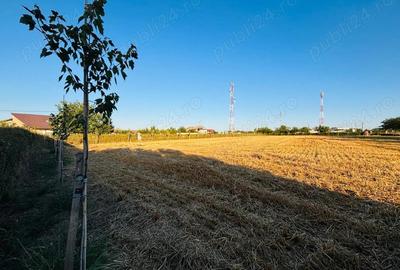 Teren în Lilieci - 2