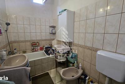 Casă cu 7 camere cu Teren 520 Mp în Elisabetin