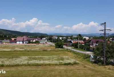 Teren de 5000 mp, în Cocorăștii Caplii - 6
