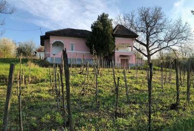 Casă cu 2 camere cu Teren 5000 Mp în Gura Motrului - 4
