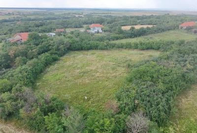 Teren de 1000 mp, în Sacoșu Mare - 2