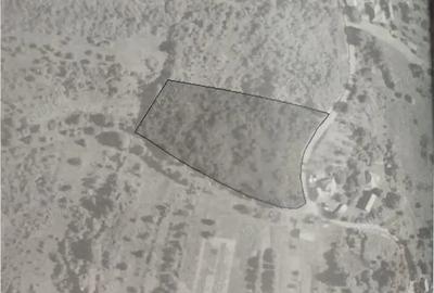 Teren de 7755 mp, în Câmpuri de Sus - 2