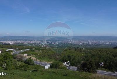 Spațiu comercial, în Feleacu - 3