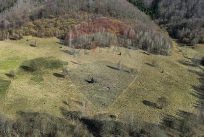 Teren agricol extravilan de 16466 mp, în Mara - 7