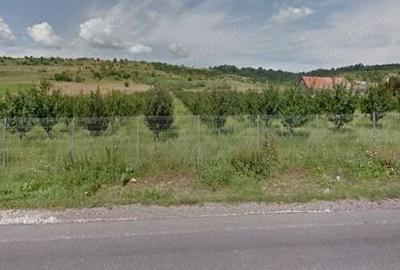 Spațiu comercial, de 3,000 mp, în Măieruș - 2