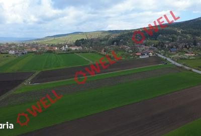 Teren de 5000 mp, în Ozun - 1
