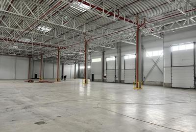 Spațiu industrial, de 1,000 mp, în Gilău - 4