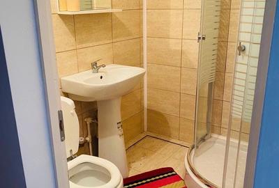 Apartament cu 2 camere decomandat în Central - 10