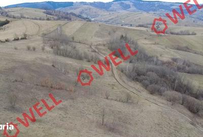 Teren de 4200 mp, în Barcani - 4
